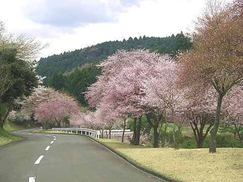 裾野カンツリー倶楽部訪問記