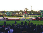 競馬場