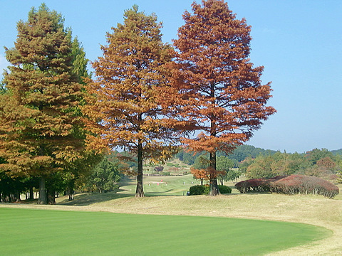 鳩山カントリークラブ　訪問記