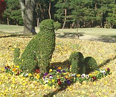 東松山カントリークラブ