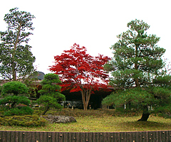 芳賀カントリークラブ