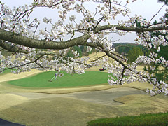 鳩山カントリークラブ　訪問記