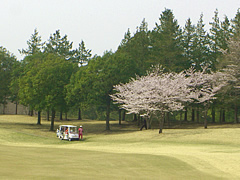 鳩山カントリークラブ　訪問記