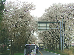 日高カントリークラブ　訪問記