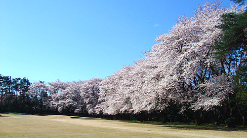 大宮ゴルフコース