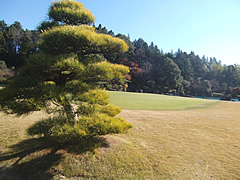 大栄カントリー倶楽部　訪問記