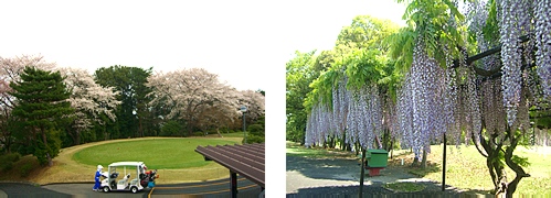 高坂カントリークラブ