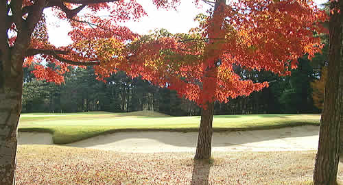 筑波カントリークラブ