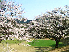 津久井湖ゴルフ倶楽部