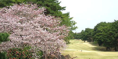 江戸崎カントリー倶楽部　訪問記