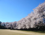 大宮ゴルフコース　訪問記