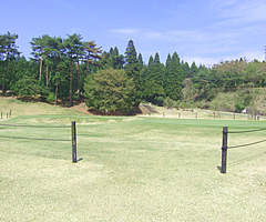 長太郎カントリークラブ　お客様とゴルフ