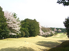 高麗川カントリークラブ　訪問記