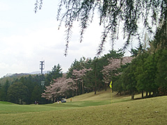 相武カントリー倶楽部　訪問記