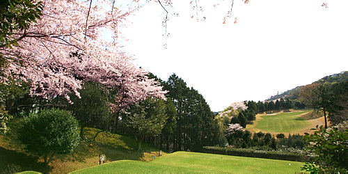 伊東カントリークラブ訪問記