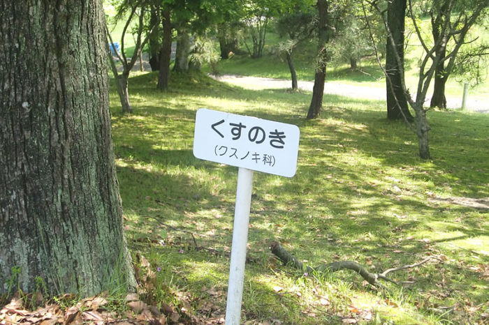 日本カントリークラブ　お客様とゴルフ