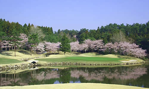 井戸端会議　桜がきれいなゴルフ場