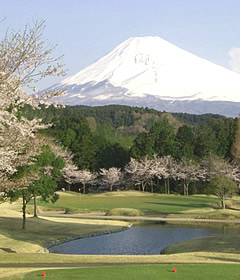 井戸端会議　桜がきれいなゴルフ場
