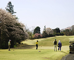 井戸端会議　桜がきれいなゴルフ場