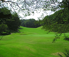 東京国際ゴルフ倶楽部訪問記